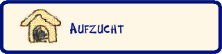 Aufzucht