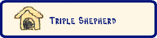 Triple Shepherd