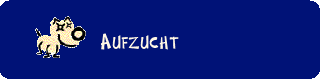 Aufzucht